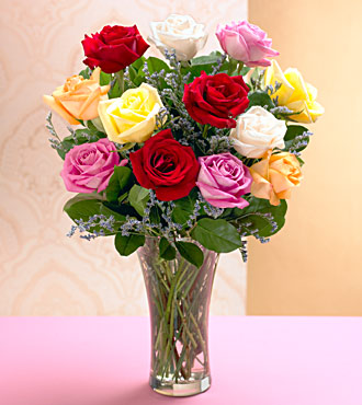 1 Dozen Mixed Color Roses