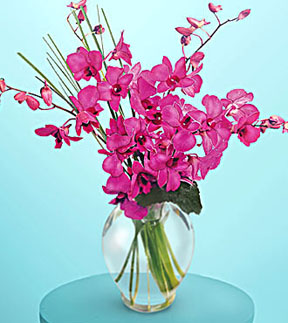 Morning Joy Bouquet
