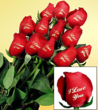 send valentines day roses. Valentine#39;s Day